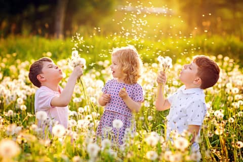 Frühling im Familienhotel Schreinerhof