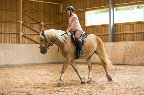 Reiten an der Longe in der Reithalle des Schreinerhofs