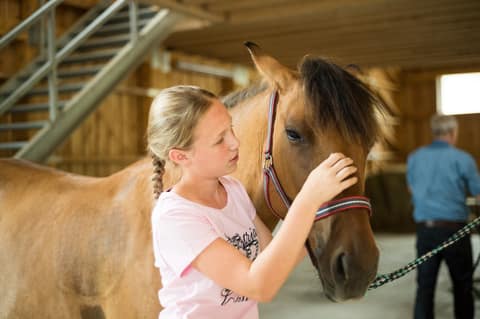Mädchen streichelt ein Pony am Kopf